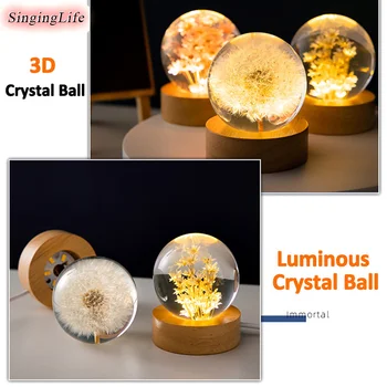 5cm 6typ Púpava Loptu Svetelné 3D Púpava Crystal Ball Bukového Dreva, Stojan Základne Konzervované Kvet Oblasti Loptu Ploche Ozdoby